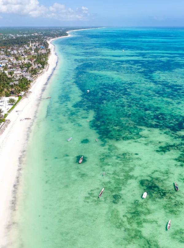 Zanzibar coast