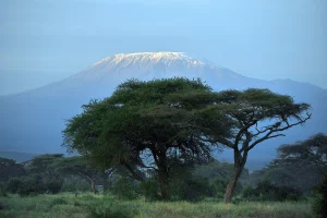 Mt Kilimanjaro. As seen from Amboseli National Park