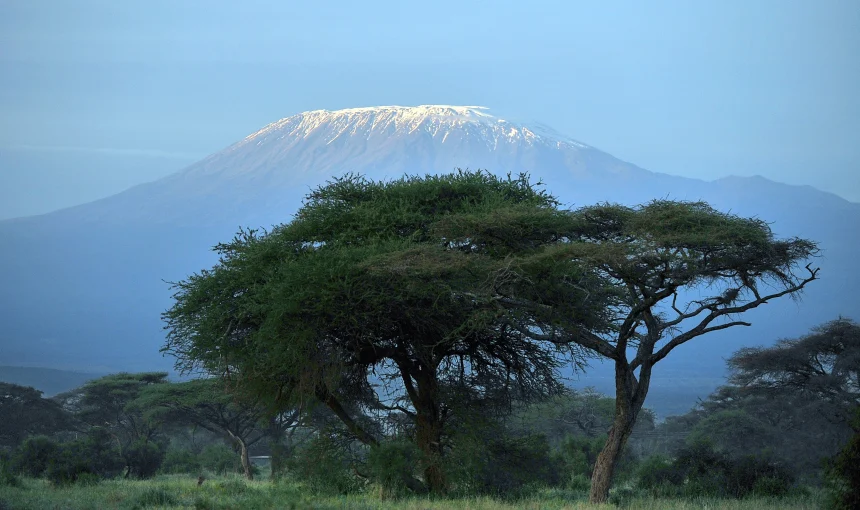 Mount Kilimanjaro Trekking: Umbwe and Machame Routes