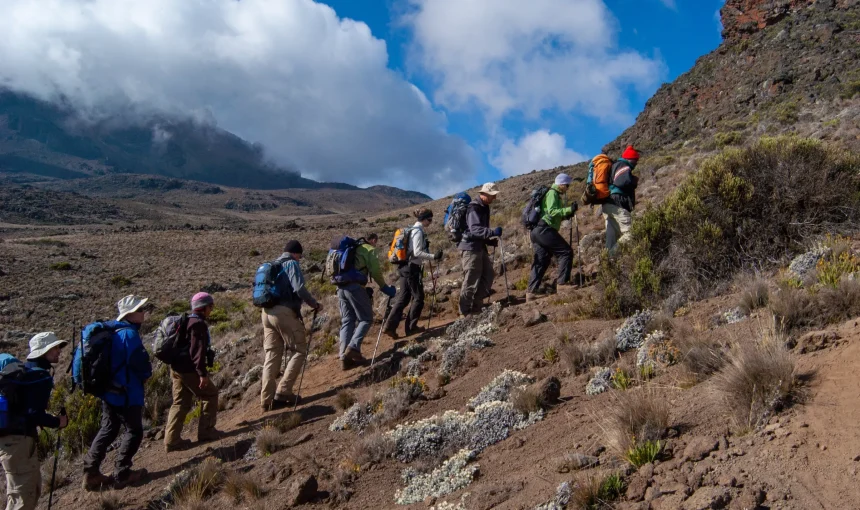 Conquering Heights: A Tale of Adventure on Mount Kilimanjaro’s Umbwe and Machame Routes, Mt. Meru safari.