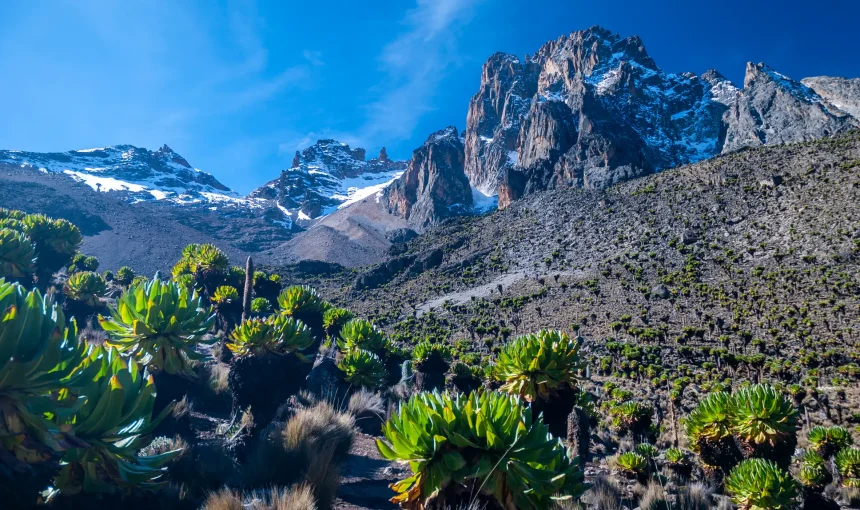 5 Days Mt Kenya Chogoria Route Down Sirimon