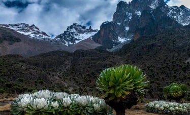 Mt. Kenya Peak. East Africa Safari