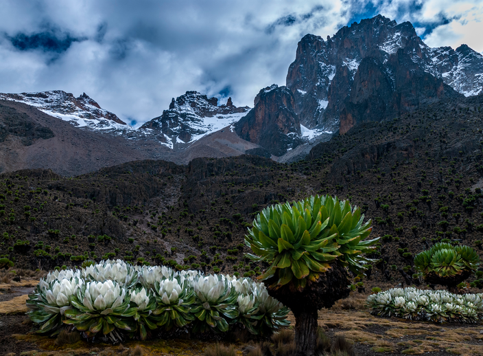 Mt. Kenya Peak. East Africa Safari