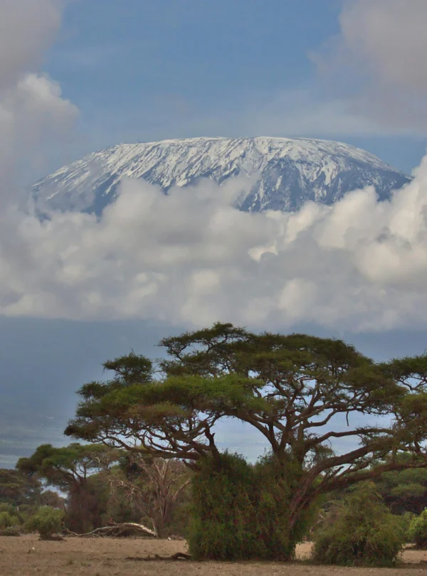 Mount Kilimanjaro