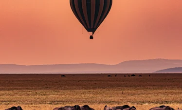Hot air balloon in Safari