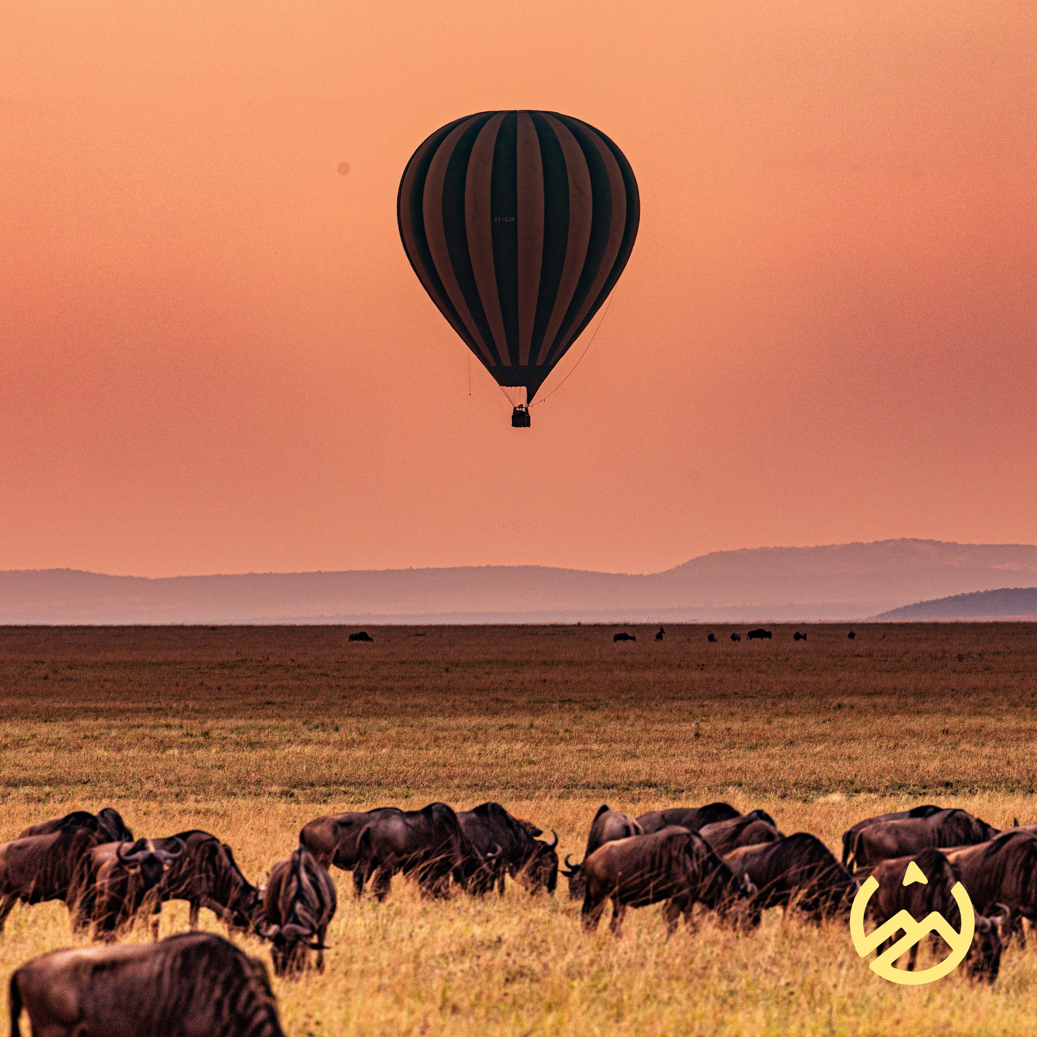 Hot air balloon in Safari