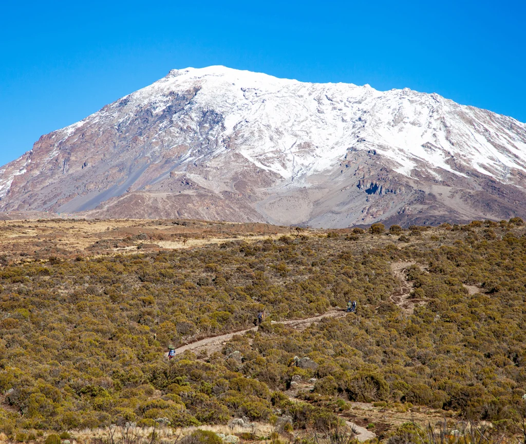 Mt. Kilimajaro Peak