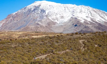 Mt. Kilimajaro Peak