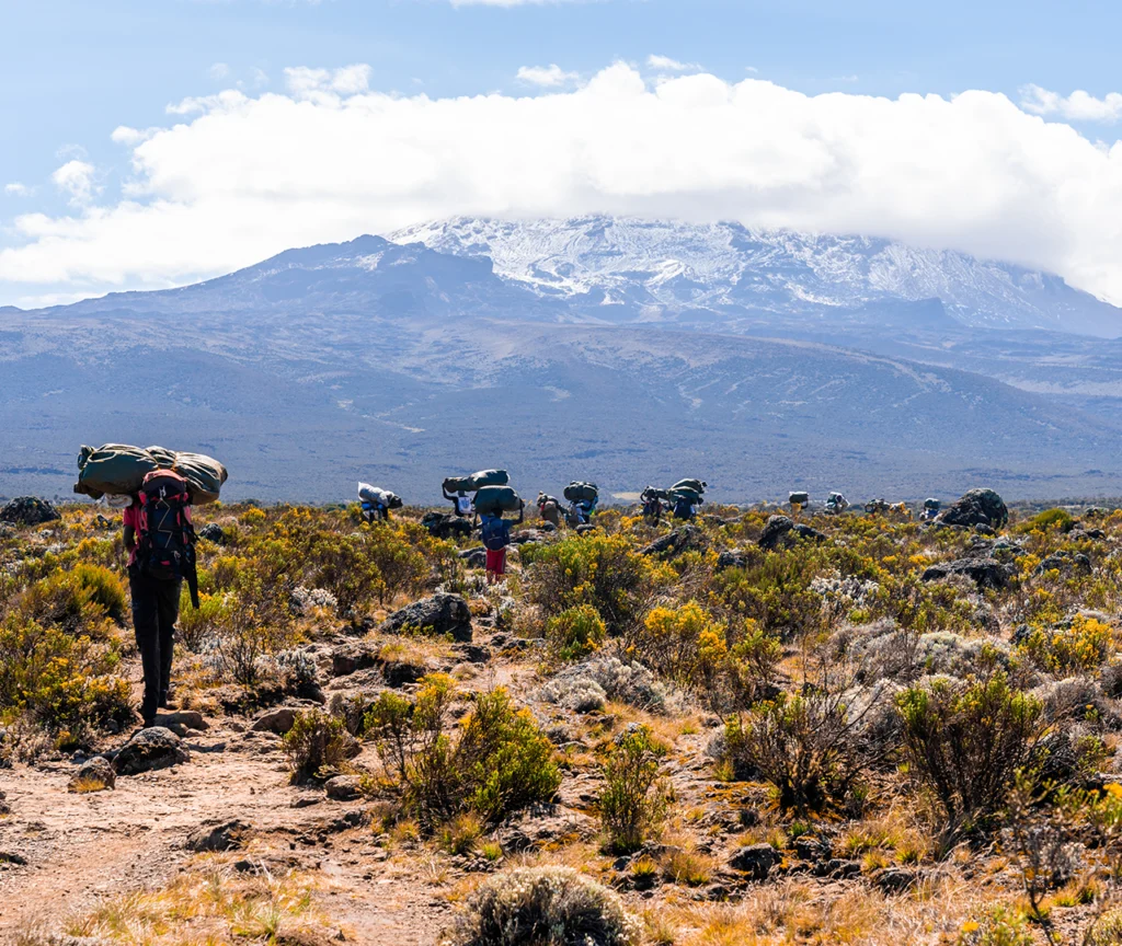 Mt. Kilimanjaro