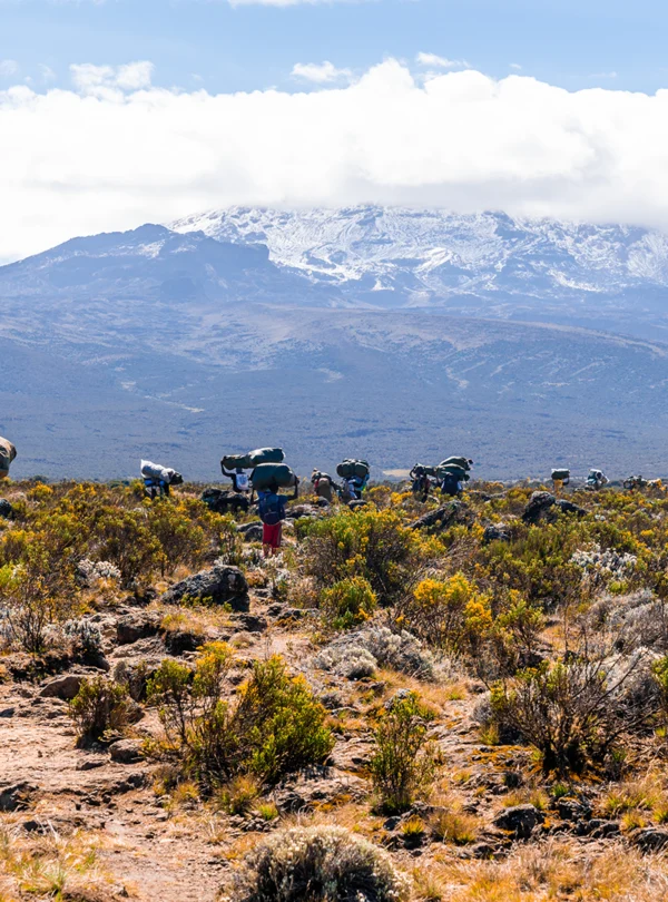 Mt. Kilimanjaro