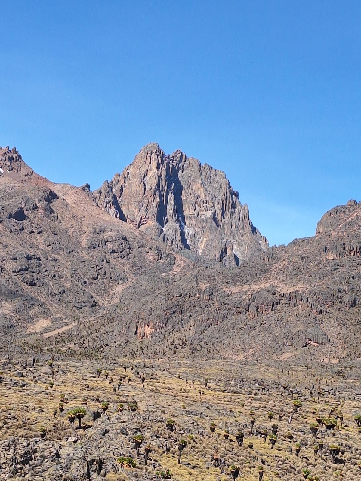 Mt. kenya